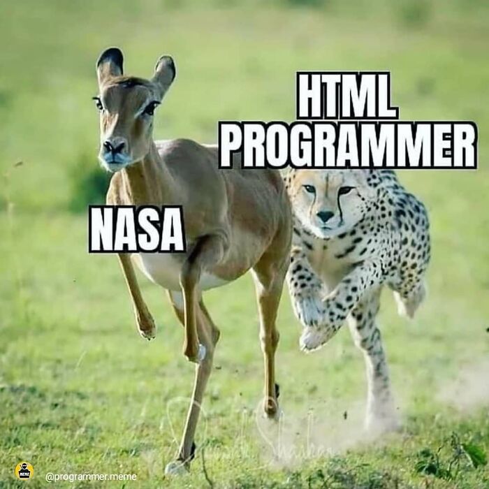 78 Relatable Memes That Hit A Little Too Close To Home For Programmers 78 Relatable Memes That Hit A Little Too Close To Home For Programmers