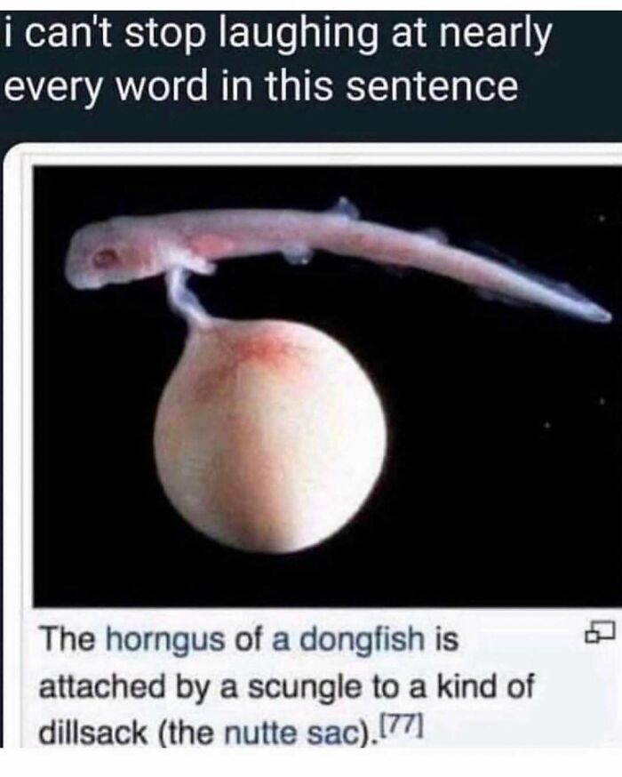 People Love This Page’s Random Sense Of Humor, So Here Are 70 Of The Best Posts People Love This Page’s Random Sense Of Humor, So Here Are 70 Of The Best Posts