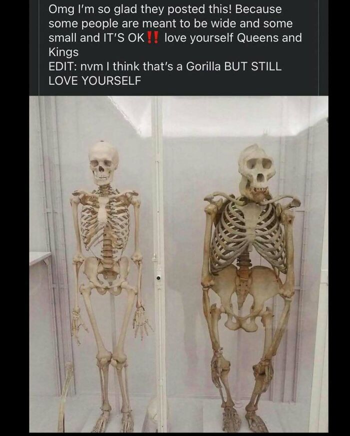 People Love This Page’s Random Sense Of Humor, So Here Are 70 Of The Best Posts People Love This Page’s Random Sense Of Humor, So Here Are 70 Of The Best Posts