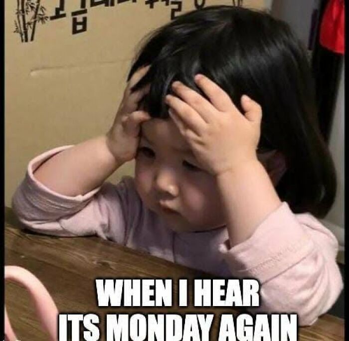 36 Funny Memes With A Side Of Sarcasm As It’s The Only Way To Cope With Having To Work 36 Funny Memes With A Side Of Sarcasm As It’s The Only Way To Cope With Having To Work