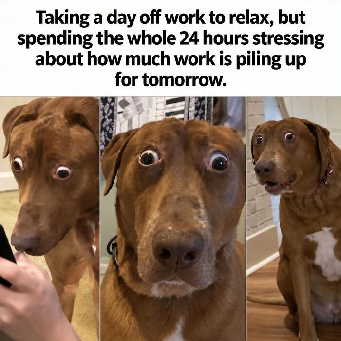 36 Funny Memes With A Side Of Sarcasm As It’s The Only Way To Cope With Having To Work 36 Funny Memes With A Side Of Sarcasm As It’s The Only Way To Cope With Having To Work