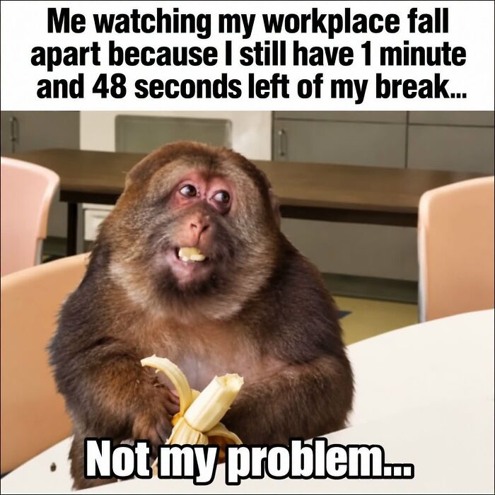 36 Funny Memes With A Side Of Sarcasm As It’s The Only Way To Cope With Having To Work 36 Funny Memes With A Side Of Sarcasm As It’s The Only Way To Cope With Having To Work