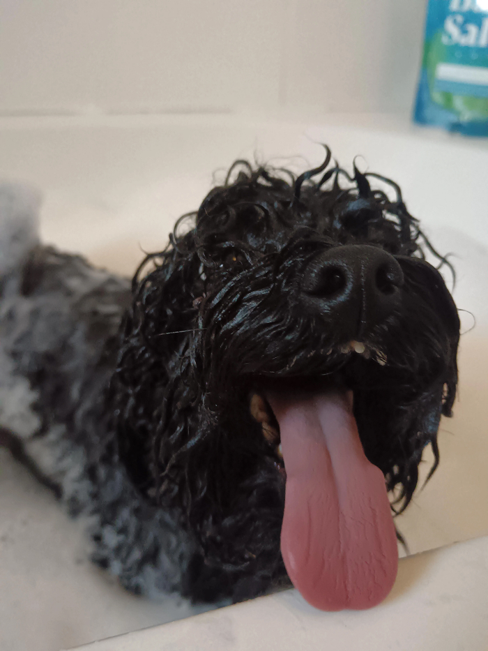 80 Dogs Who Looked At Their Owners Like Bath Time Was The Ultimate Betrayal 80 Dogs Who Looked At Their Owners Like Bath Time Was The Ultimate Betrayal