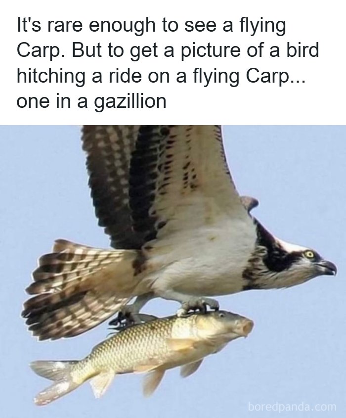 78 Redneck Memes That Hit Different If You Grew Up In The Middle Of Nowhere 78 Redneck Memes That Hit Different If You Grew Up In The Middle Of Nowhere
