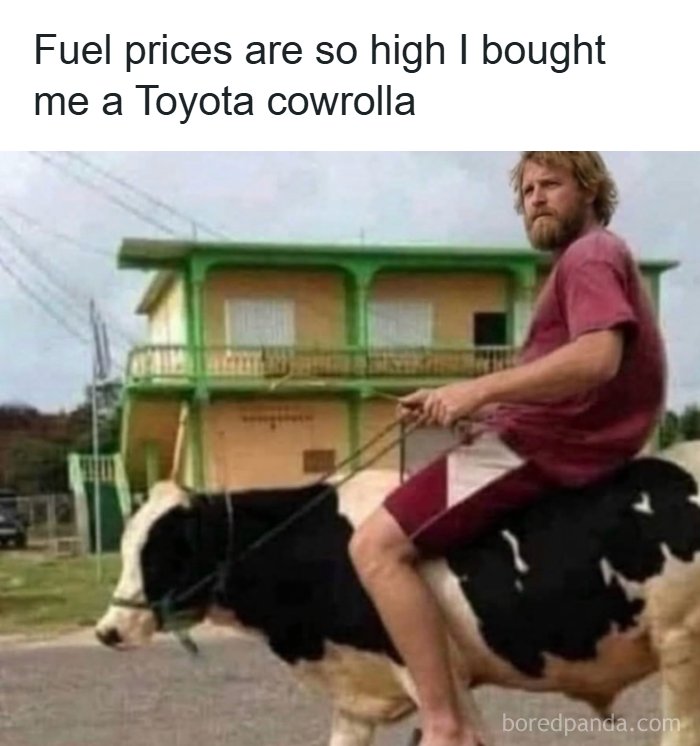 78 Redneck Memes That Hit Different If You Grew Up In The Middle Of Nowhere 78 Redneck Memes That Hit Different If You Grew Up In The Middle Of Nowhere