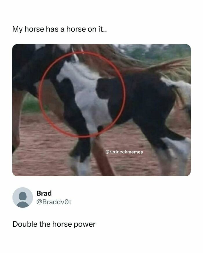 78 Redneck Memes That Hit Different If You Grew Up In The Middle Of Nowhere 78 Redneck Memes That Hit Different If You Grew Up In The Middle Of Nowhere
