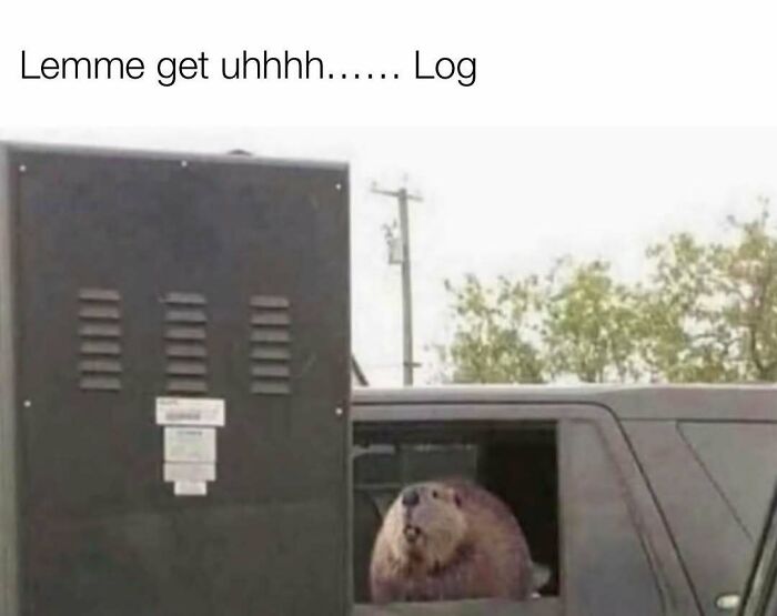 78 Redneck Memes That Hit Different If You Grew Up In The Middle Of Nowhere 78 Redneck Memes That Hit Different If You Grew Up In The Middle Of Nowhere