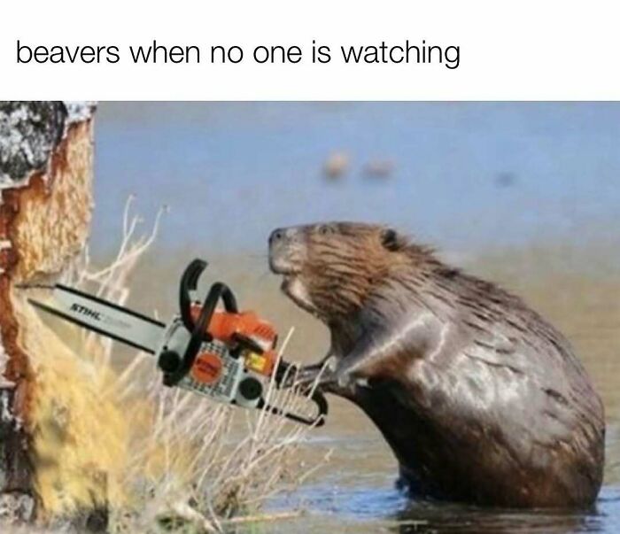 78 Redneck Memes That Hit Different If You Grew Up In The Middle Of Nowhere 78 Redneck Memes That Hit Different If You Grew Up In The Middle Of Nowhere