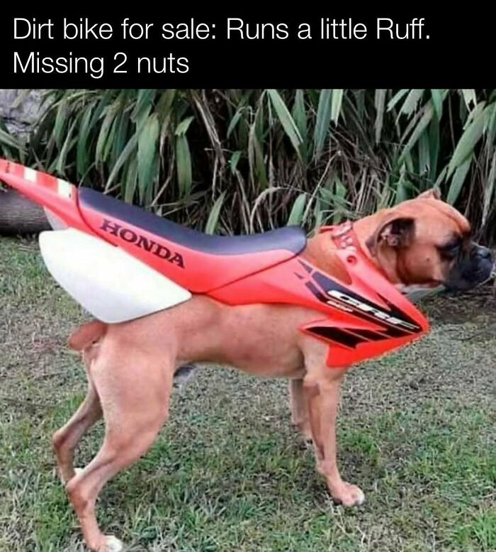 78 Redneck Memes That Hit Different If You Grew Up In The Middle Of Nowhere 78 Redneck Memes That Hit Different If You Grew Up In The Middle Of Nowhere