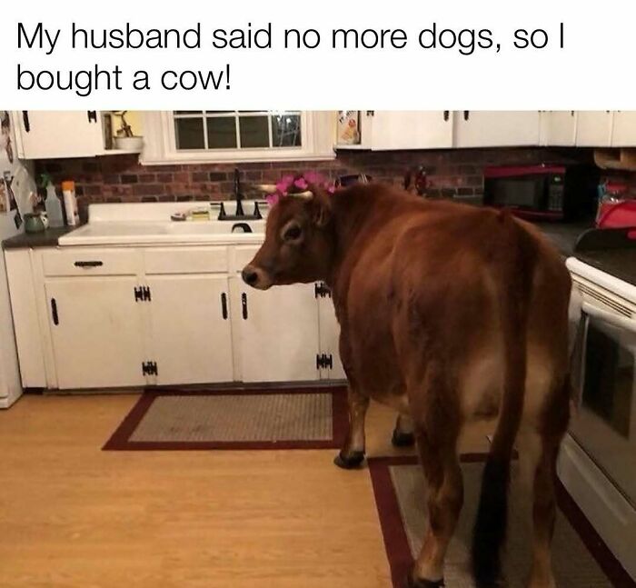78 Redneck Memes That Hit Different If You Grew Up In The Middle Of Nowhere 78 Redneck Memes That Hit Different If You Grew Up In The Middle Of Nowhere