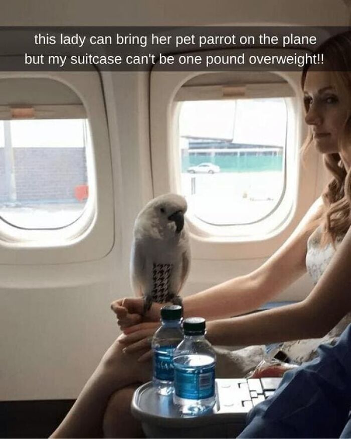 54 Plane Passengers Who Made A Few Hours In The Air Feel Like A Life Sentence 54 Plane Passengers Who Made A Few Hours In The Air Feel Like A Life Sentence