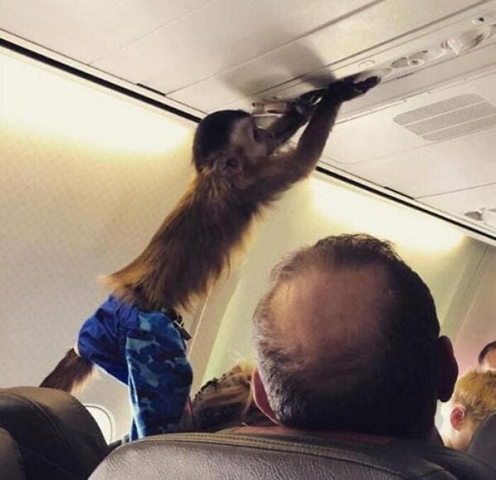 54 Plane Passengers Who Made A Few Hours In The Air Feel Like A Life Sentence 54 Plane Passengers Who Made A Few Hours In The Air Feel Like A Life Sentence