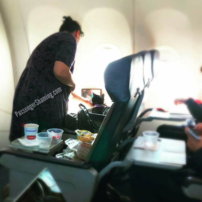 54 Plane Passengers Who Made A Few Hours In The Air Feel Like A Life Sentence 54 Plane Passengers Who Made A Few Hours In The Air Feel Like A Life Sentence