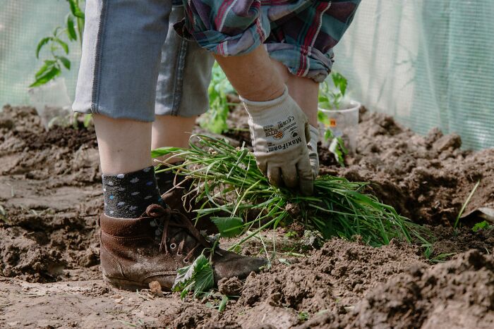 64 Things People’s Parents Did Right That They Appreciate As Adults 64 Things People’s Parents Did Right That They Appreciate As Adults