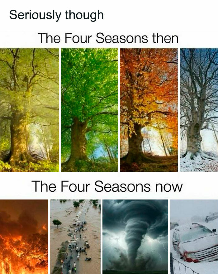 74 Hilarious Memes That Might Be Exactly The Laugh You Needed Today 74 Hilarious Memes That Might Be Exactly The Laugh You Needed Today