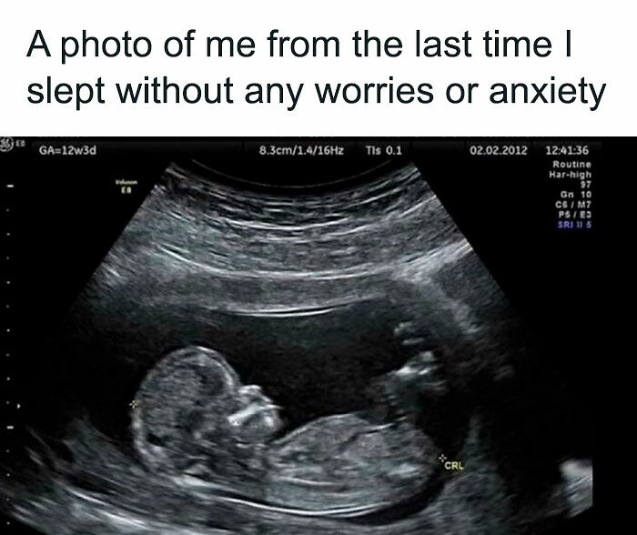 74 Hilarious Memes That Might Be Exactly The Laugh You Needed Today 74 Hilarious Memes That Might Be Exactly The Laugh You Needed Today