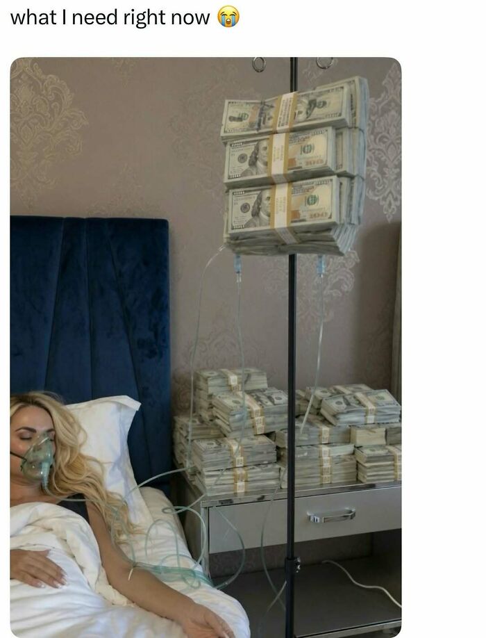 74 Hilarious Memes That Might Be Exactly The Laugh You Needed Today 74 Hilarious Memes That Might Be Exactly The Laugh You Needed Today