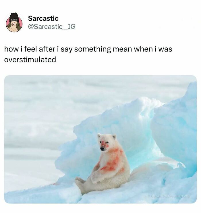 74 Hilarious Memes That Might Be Exactly The Laugh You Needed Today 74 Hilarious Memes That Might Be Exactly The Laugh You Needed Today