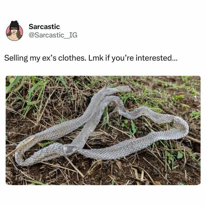 74 Hilarious Memes That Might Be Exactly The Laugh You Needed Today 74 Hilarious Memes That Might Be Exactly The Laugh You Needed Today