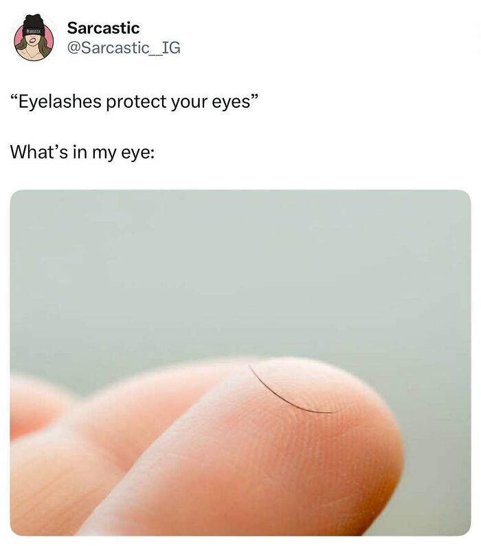 74 Hilarious Memes That Might Be Exactly The Laugh You Needed Today 74 Hilarious Memes That Might Be Exactly The Laugh You Needed Today