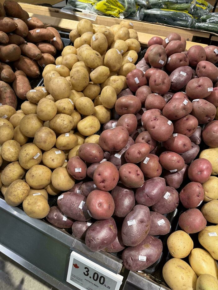 89 Pics That Might Make You Stop Scrolling Just To Figure Out What&rsquo;s Going On