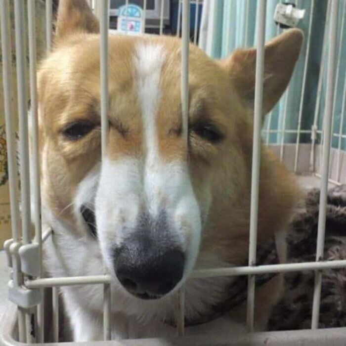 89 Pics That Might Make You Stop Scrolling Just To Figure Out What&rsquo;s Going On
