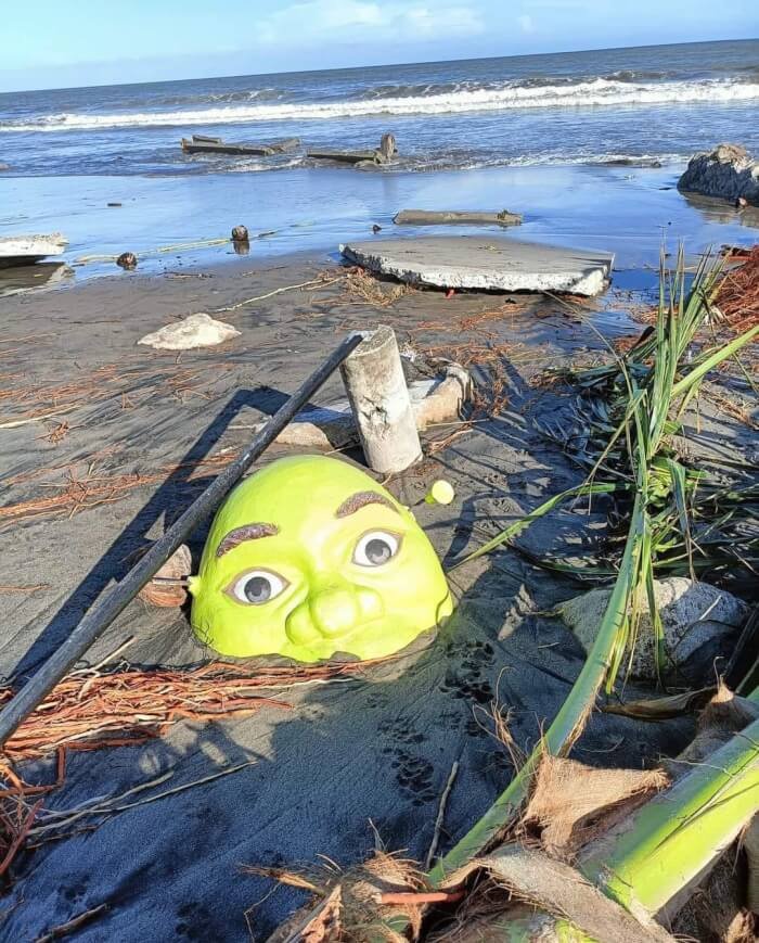 89 Pics That Might Make You Stop Scrolling Just To Figure Out What&rsquo;s Going On