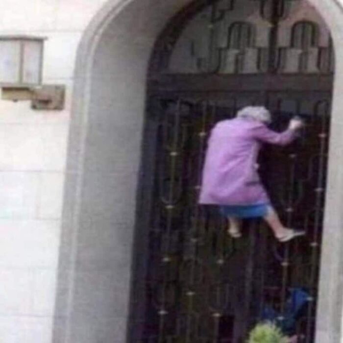 89 Pics That Might Make You Stop Scrolling Just To Figure Out What&rsquo;s Going On