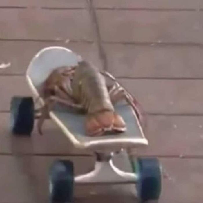 89 Pics That Might Make You Stop Scrolling Just To Figure Out What&rsquo;s Going On