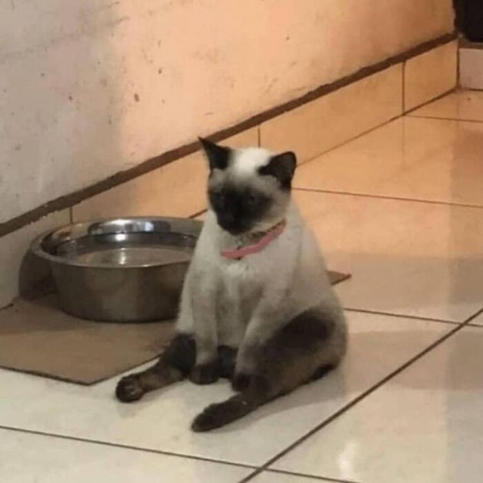 89 Pics That Might Make You Stop Scrolling Just To Figure Out What&rsquo;s Going On