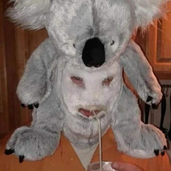 89 Pics That Might Make You Stop Scrolling Just To Figure Out What&rsquo;s Going On
