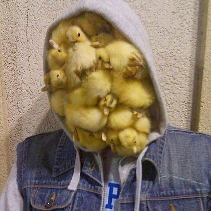 89 Pics That Might Make You Stop Scrolling Just To Figure Out What&rsquo;s Going On