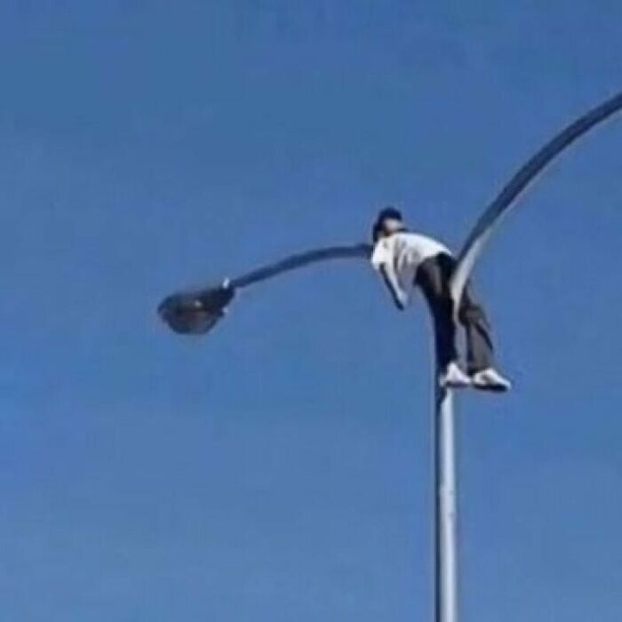 89 Pics That Might Make You Stop Scrolling Just To Figure Out What&rsquo;s Going On
