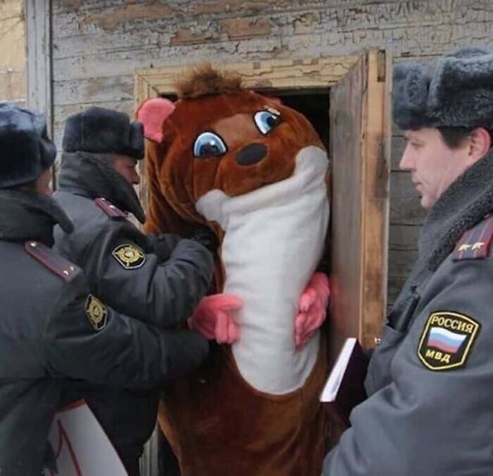 89 Pics That Might Make You Stop Scrolling Just To Figure Out What&rsquo;s Going On