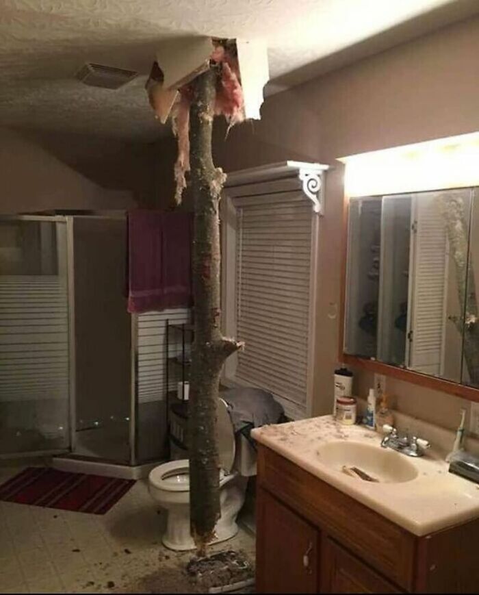 89 Pics That Might Make You Stop Scrolling Just To Figure Out What&rsquo;s Going On