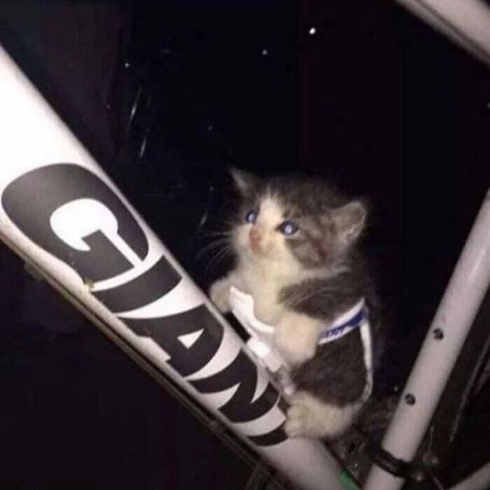 89 Pics That Might Make You Stop Scrolling Just To Figure Out What&rsquo;s Going On