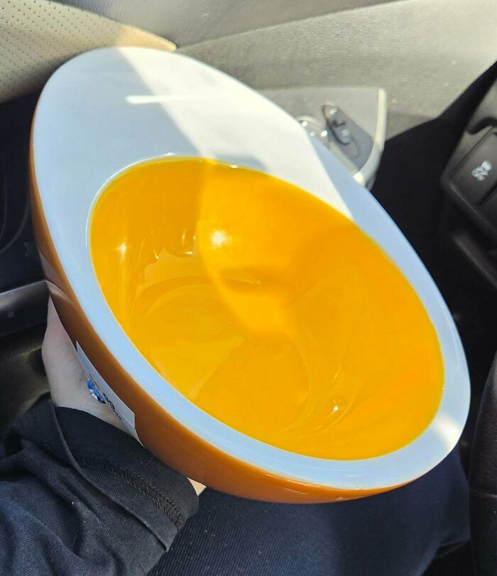 70 Thrift Store Hauls That People Are Incredibly Proud Of After Spending Such A Long Time Searching