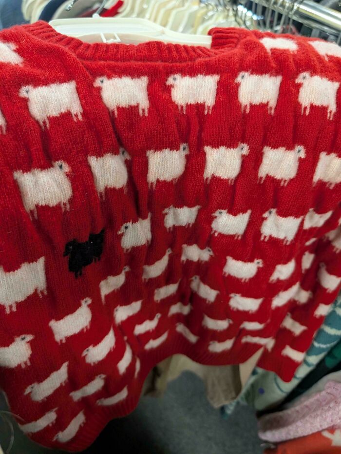 70 Thrift Store Hauls That People Are Incredibly Proud Of After Spending Such A Long Time Searching