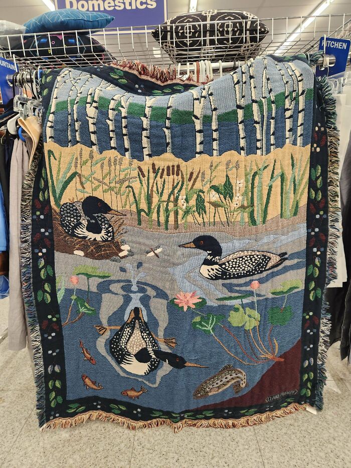 70 Thrift Store Hauls That People Are Incredibly Proud Of After Spending Such A Long Time Searching