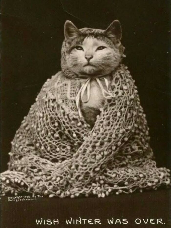88 Fascinating Photos From The Victorian Era, As Documented By “Victorian Chronicles”