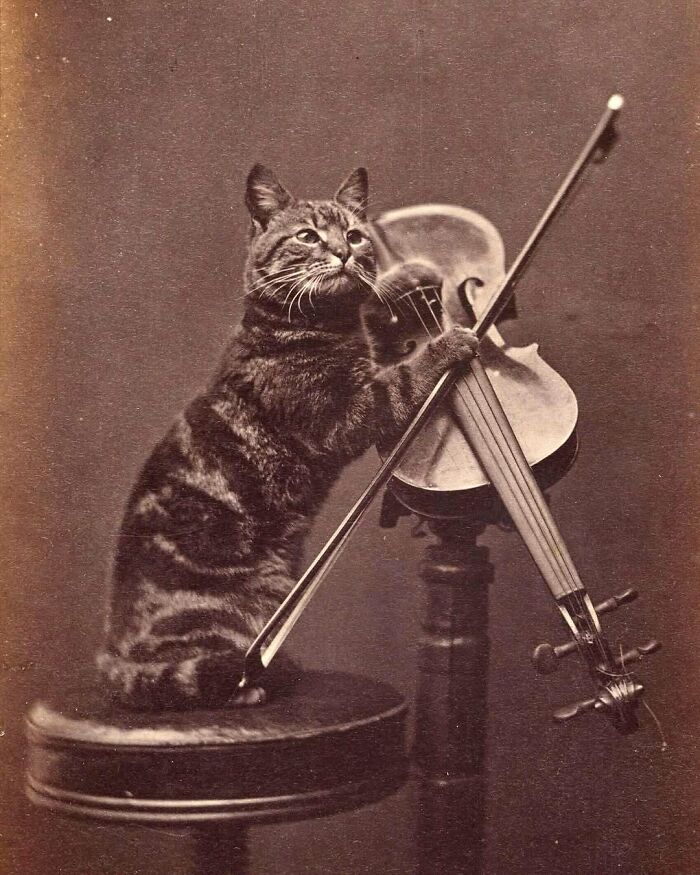 88 Fascinating Photos From The Victorian Era, As Documented By “Victorian Chronicles”