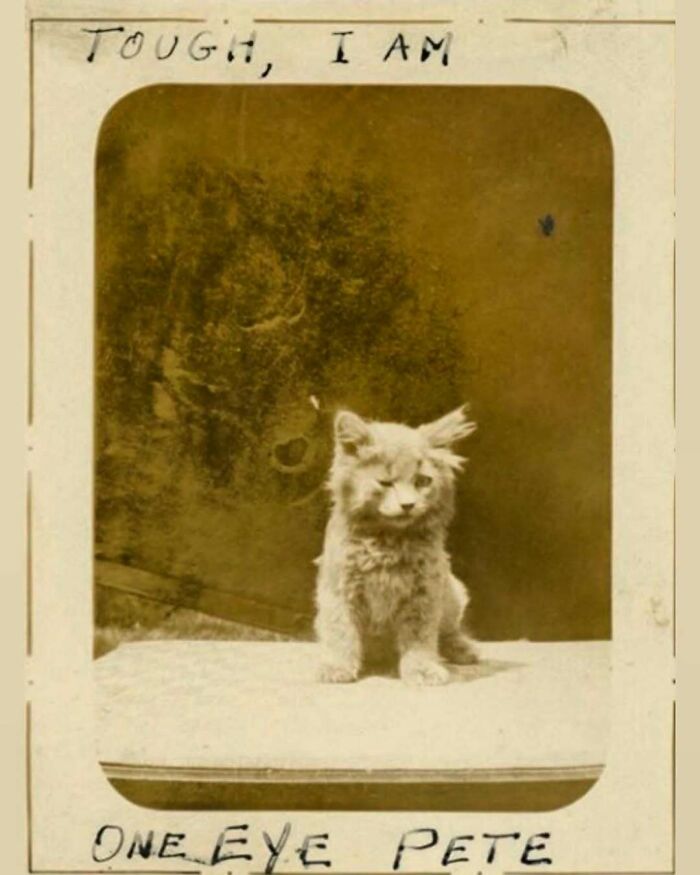 88 Fascinating Photos From The Victorian Era, As Documented By “Victorian Chronicles”
