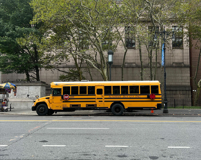 New York Times Journalist Sent Her Daughter To Struggling Schools As A “Sacrifice,” But It Brutally Backfired