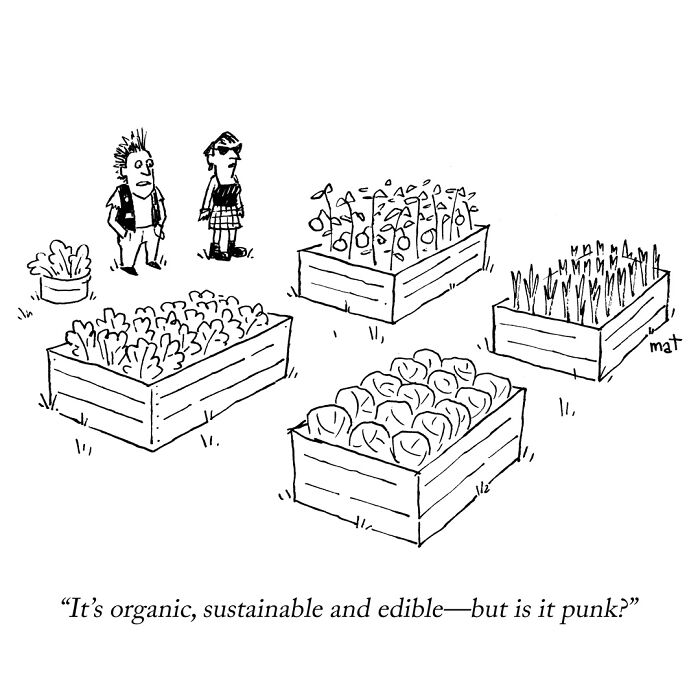 If You Like An Absurd Sense Of Humor, You Might Like These 72 New Cartoons By Mat Barton