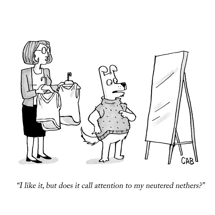 If You Like An Absurd Sense Of Humor, You Might Like These 72 New Cartoons By Mat Barton
