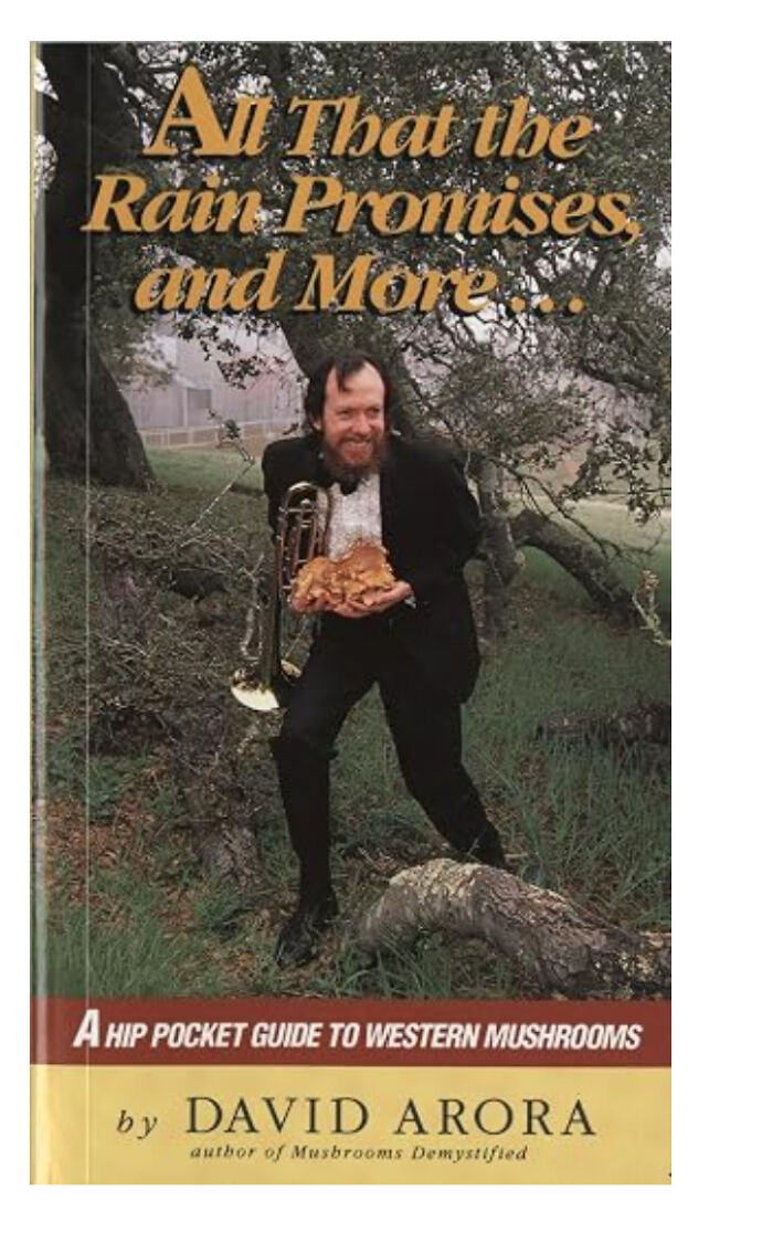 60 Book Covers So Hilariously Unhinged You Might Not Be Able To Tear Your Eyes Away From Them (New Pics)
