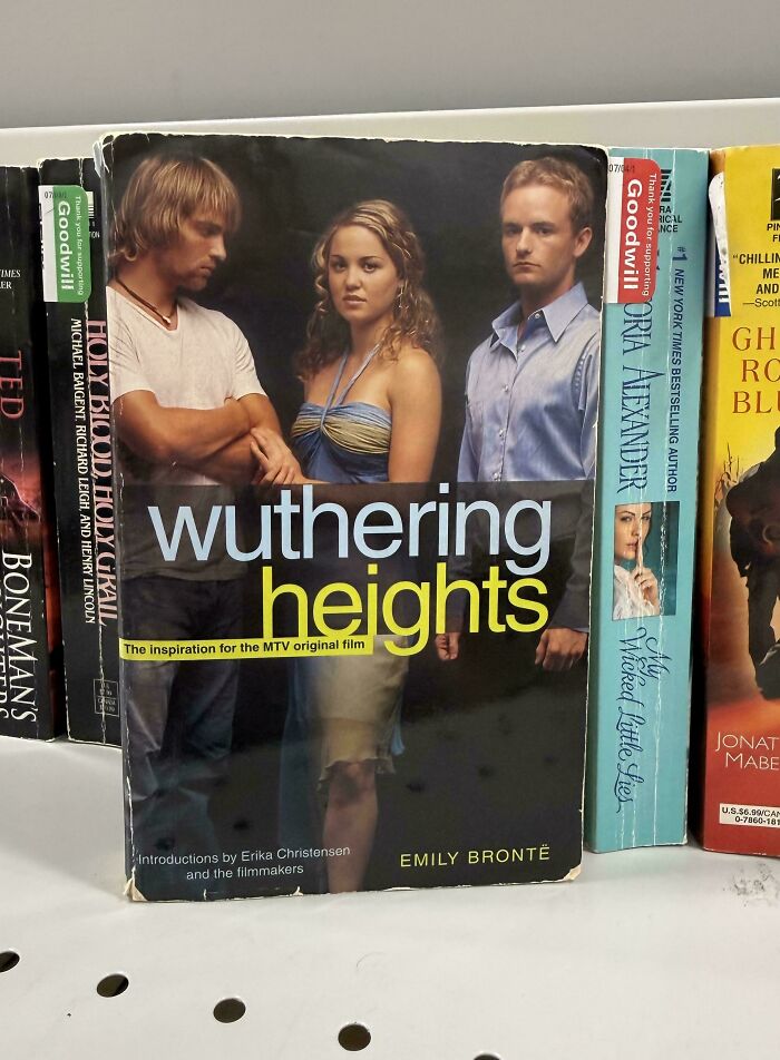 60 Book Covers So Hilariously Unhinged You Might Not Be Able To Tear Your Eyes Away From Them (New Pics)
