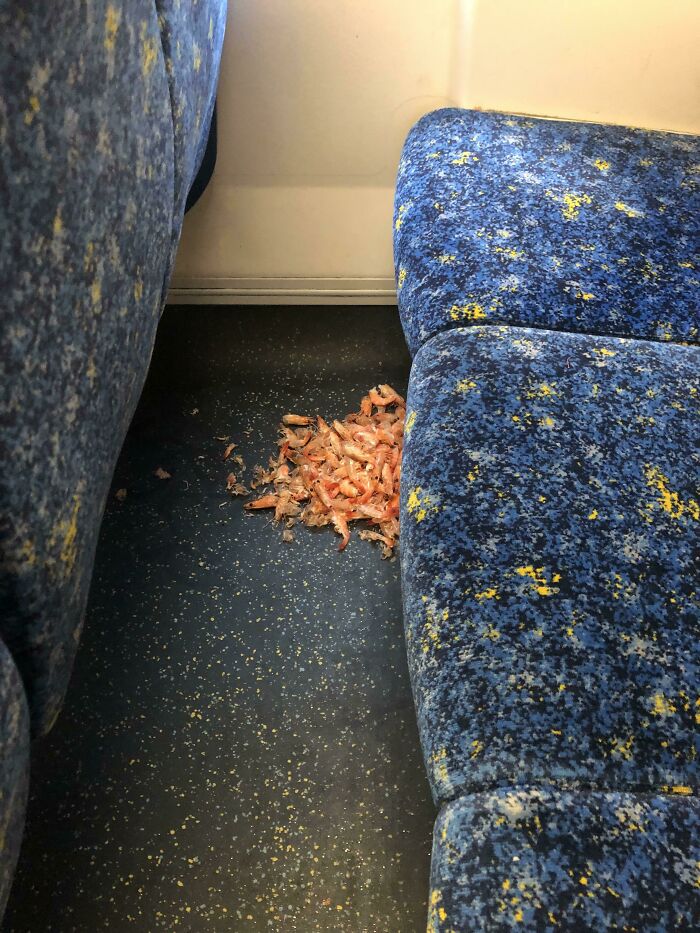 74 Examples Of Completely Wild Public Transport Interactions That Might Make You Buy A Car 74 Examples Of Completely Wild Public Transport Interactions That Might Make You Buy A Car