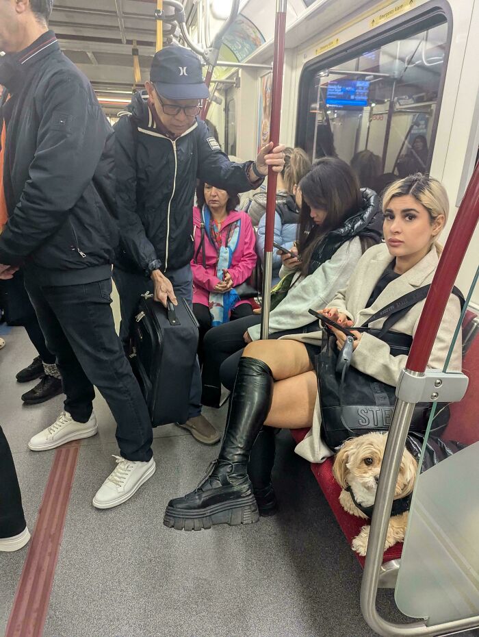 74 Examples Of Completely Wild Public Transport Interactions That Might Make You Buy A Car 74 Examples Of Completely Wild Public Transport Interactions That Might Make You Buy A Car