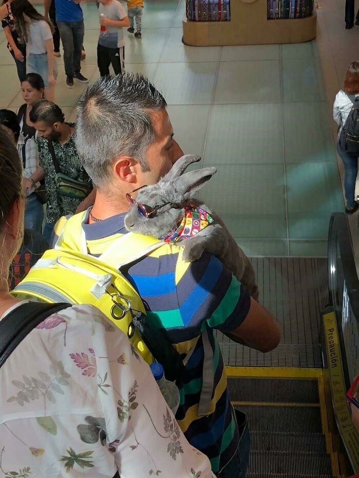 74 Examples Of Completely Wild Public Transport Interactions That Might Make You Buy A Car 74 Examples Of Completely Wild Public Transport Interactions That Might Make You Buy A Car